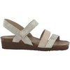 Striped Suede With Light Gold