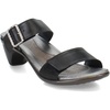 Shiny Black